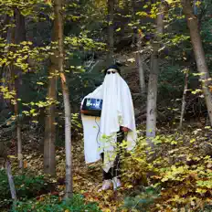 Ghost Toasterを聴いたり、ミュージックビデオを鑑賞したり、経歴やツアー日程などを確認したりしましょう！