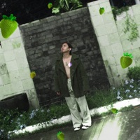 Green Strawberry - Single - Shortone