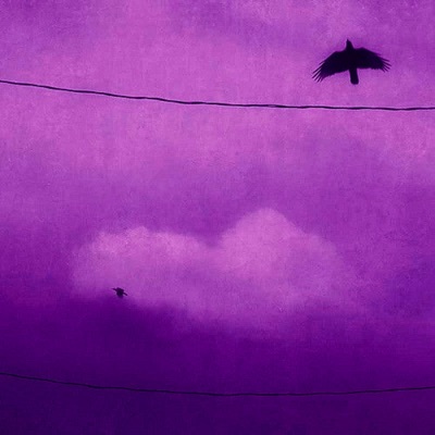 fly away (Sped Up) - Single