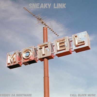 Sneaky Link - Single
