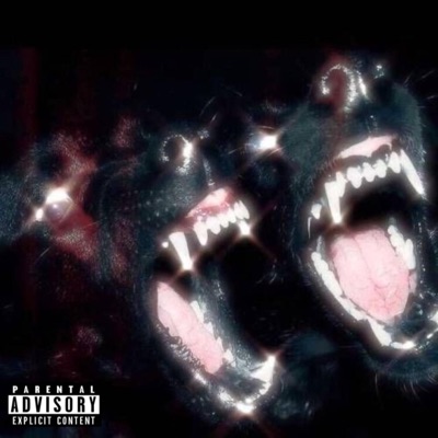 Questions (feat. Murderriican) - Single