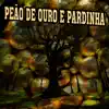 Peão de Ouro e Pardinha - Boiadeiro Benedito