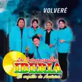 volvere
