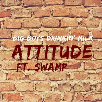 ATTITUDE (feat. SWAMP) - Single