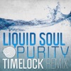 Purity (Timelock Remix) - Single