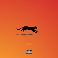 Bxd - Single - Gordão Bxd