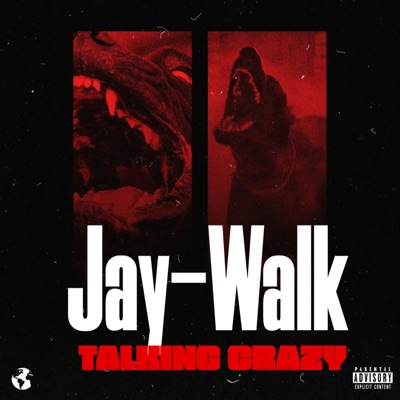 Talking Crazy - Single