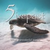 What a Wonderful World - Single
