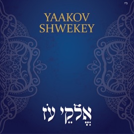 אלקי עז Yaakov Shwekey