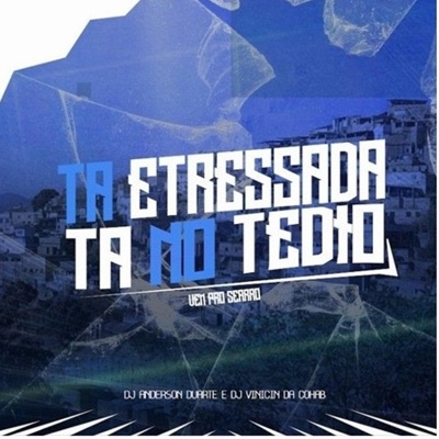 TA ESTRESSADA TA NO TEDIO - VEM PRO SERRÃO - DJ ANDERSON DUARTE - Single