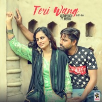 Teri Wang - Single - Vikram Singh