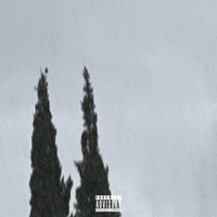 You Can't Tell It Was Raining - EP - Picasso Madonna