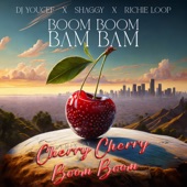 Boom Boom Bam Bam (Cherry Cherry Boom Boom Remix) artwork