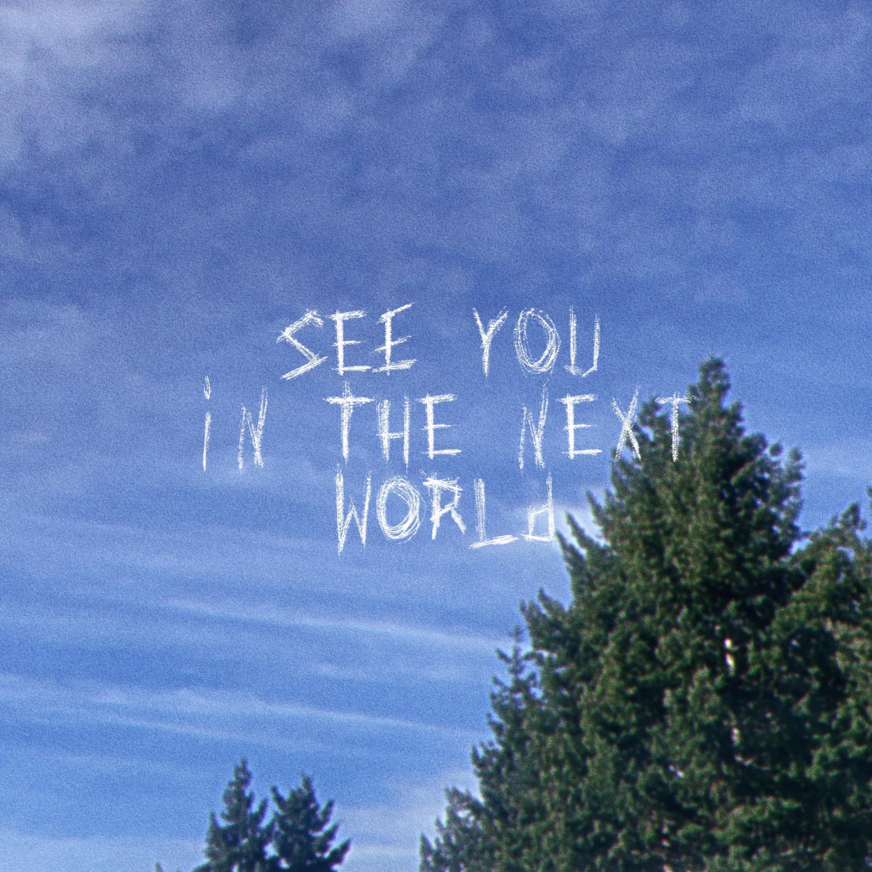 See You In the Next World - EP