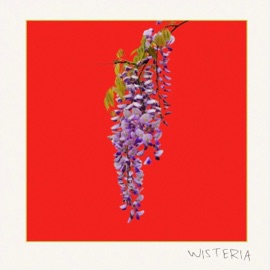 Venus Flytrap Naj The Leader & Gabe Tate