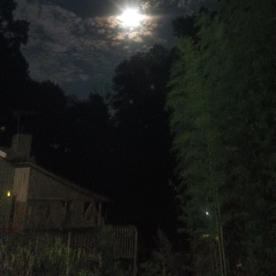 Flexin Flexin - Single