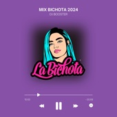 Mix Bichota 2024 (Remix) artwork
