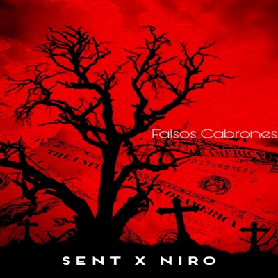 Falsos Cabrones - Single