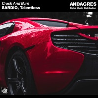 Crash and Burn - Single - SARDIO & Talentless