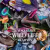 Radio Slave - Wild Life (Jamie 3: 26 & Danou P 'DiscoTek' Remix)