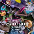 Wild Life (Jamie 3:26 & Danou P ‘DiscoTek’ Remix)
