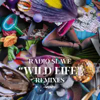 Wild Life (Jamie 3: 26 & Danou P 'DiscoTek' Remix)