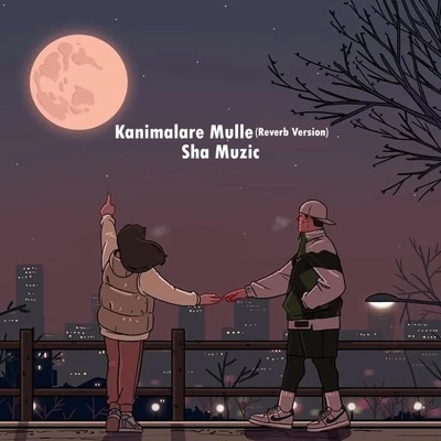Sha Muzic - Kanimalare Mulle (Slowed Reverb)
