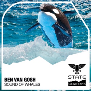 Sound of Whales - Single