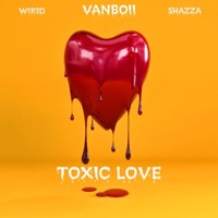 Toxic Love (feat. Vanboii & Shazza) - Single - WIR3D