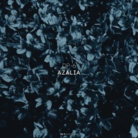 Azalia - Single - DP-6