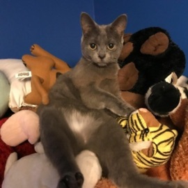 step in (feat. Pharmacy & Macbook) Yepware