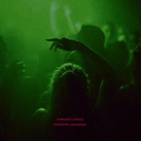 Fancy - Single - VX Duse