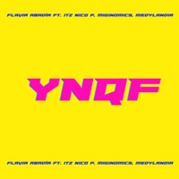 YNQF (feat. Itz Nico P, Miginomics & Medylandia) - Single - Flavia Abadía