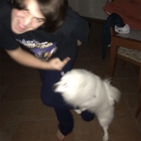 FERRAGAMO - Single - Violla