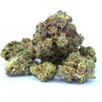 Fresh Pack - Single - BrokenStarr & Rawmean