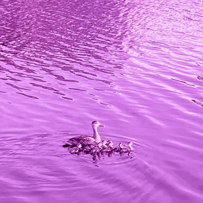 lucid taughts (dr0wzy vs. F4D3 mix) - Single