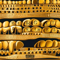 Budget - Single - $hrames