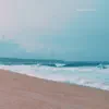 Along the Coast