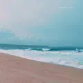 Along the Coast