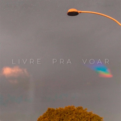 Livre pra Voar (feat. Deb Ribeiro) - Single