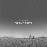Standards - Single - SlumpZay