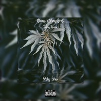 Pátý brko (feat. Yung GreX & Lil Speck) - Single - Chlubys