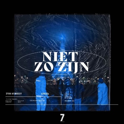 Niet zo zijn (feat. (73)RB) - Single
