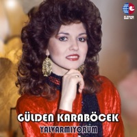 Akşam Olur Gizli Gizli Ağlarım