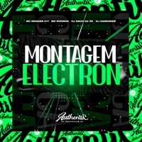Montagem Electron (feat. Mc Rodson, Mc Mendes 011 & Dj Darkness) - Single - DJ Nego da ZO