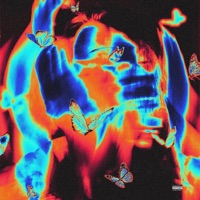 Show Girl - Single - S3LIM, Lil Cobaine & Vory