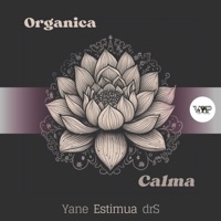 Calma (drS Remix) - Single - Organica