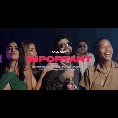 Important - Single