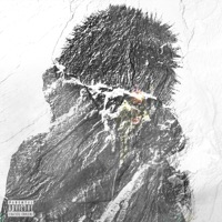 Hail Mary (feat. Destroy Lonely) - Single - ProdByCade