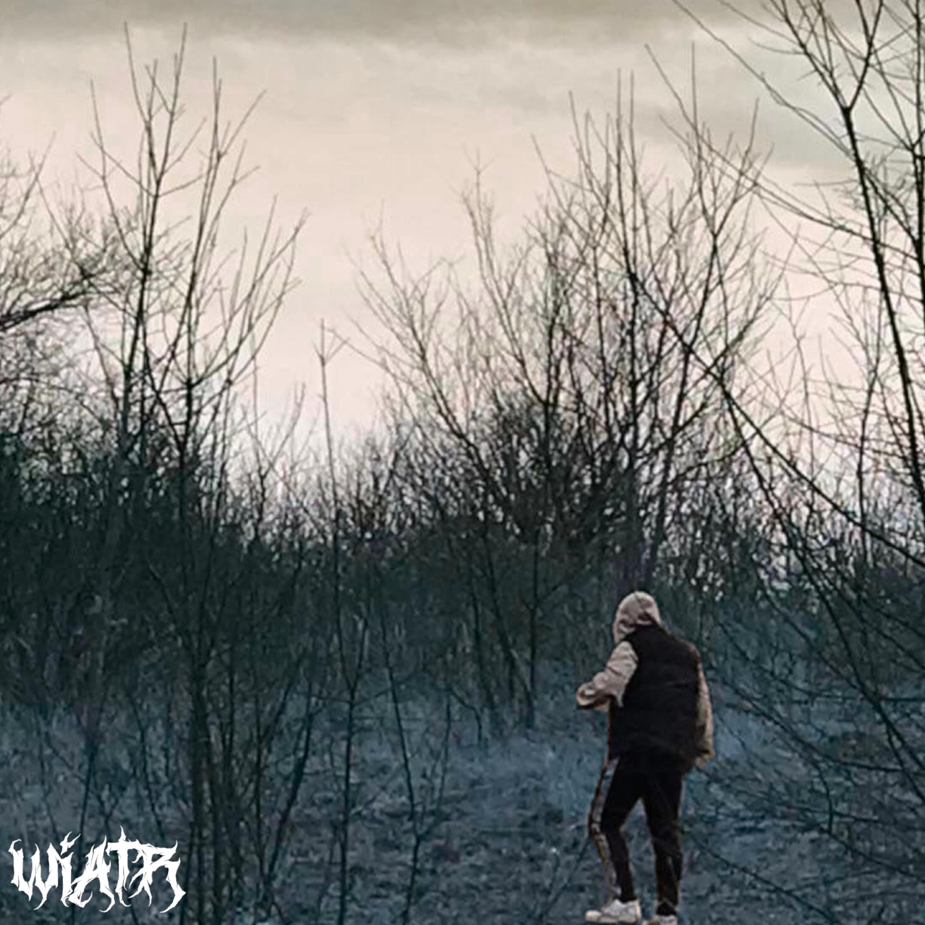 Wiatr - Single by Śliwa32 album cover